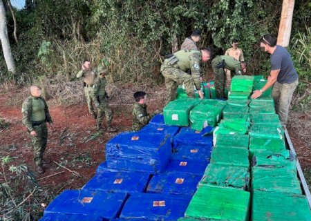 PF e BPFRON apreendem mais de 8 toneladas de maconha