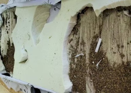 Advogada é presa tentando entrar com colchão recheado de maconha em presídio