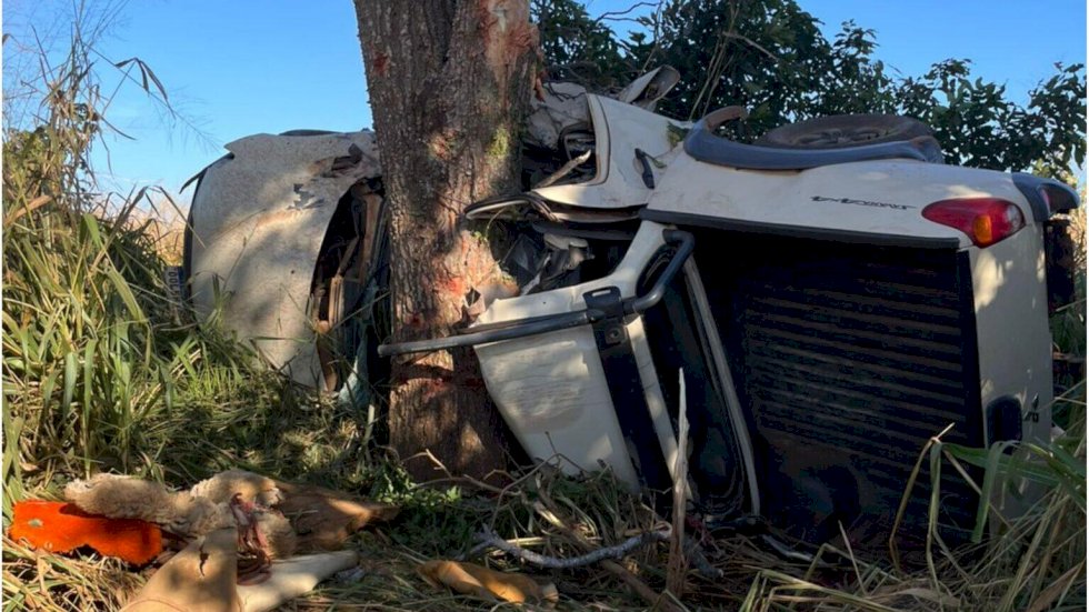 Três morrem e uma fica ferida após caminhonete colidir com árvore em MS