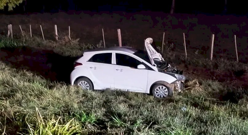 Colisão com anta deixa dois feridos na MS-395