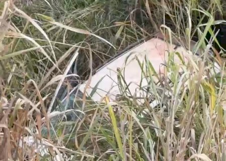 Deodápolis - Homens que estavam desaparecido foram encontrados mortos após acidente na MS -145