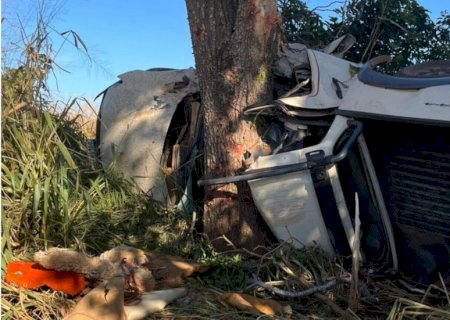 Três morrem e uma fica ferida após caminhonete colidir com árvore em MS