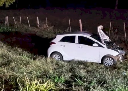 Colisão com anta deixa dois feridos na MS-395