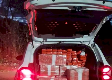 Reintegração de posse revela depósito de maconha em residência