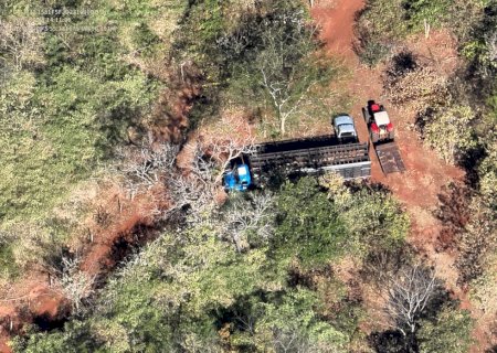 PMA flagra desmatamento e transporte de aroeira