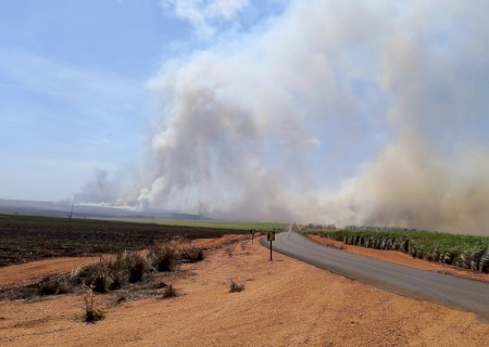 Angélica - Após horas de apreensão fogo em canavial é controlado