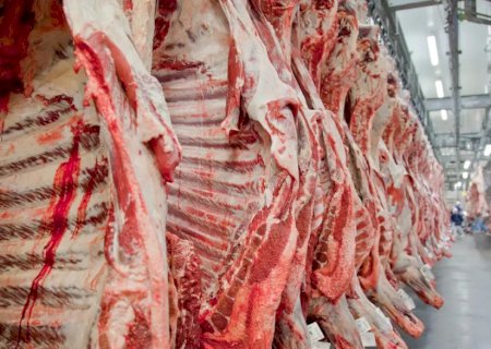 Exportação de carne bovina bate recorde em mês anterior ao tarifaço