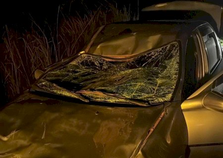 Deodápolis - Acidente envolvendo animal na pista provoca grave acidente