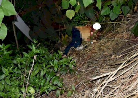 Mulher é encontrada morta e polícia investiga suspeita de violência sexual
