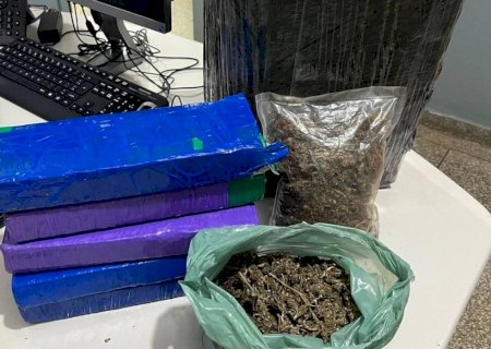 Polícia Civil descobre entreposto de drogas e apreende maís de 33 kg de maconha