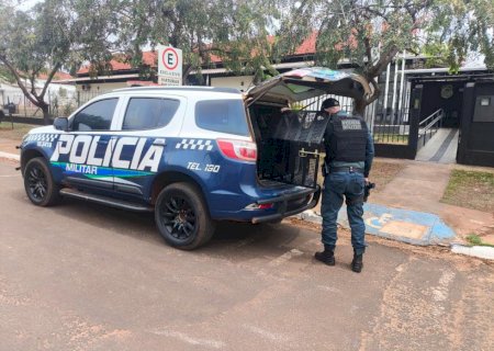Polícia Militar registra duas ocorrências de violência doméstica, uma em Ivinhema e outra em Angélica