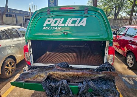 Pintado de 21 kg rende multa de R$ 33 mil a motorista durante fiscalização em MS