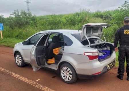 DOF prende mulher transportando mais de 300 quilos de drogas