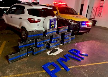 Ivinhema - PMR apreendeu mais de 190 quilos de drogas na MS -141